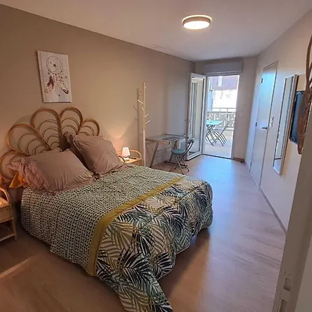 アパート Le Rodin アルビ